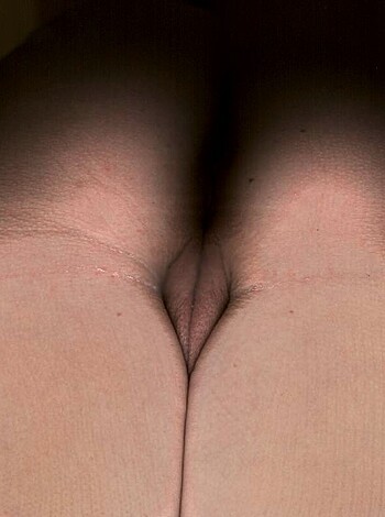 "This picture displays an asshole and a twat that are being shown off."