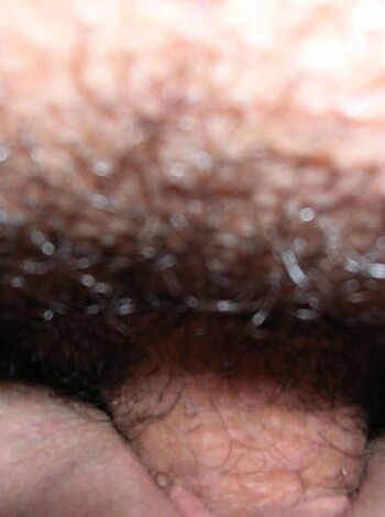 Here's a fucking close-up of some hairy cock and balls, motherfucker!