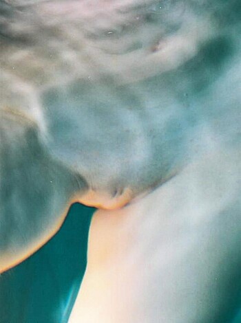 Underwater Pussy Set - Photo 22