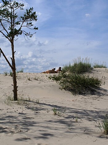 The naked beach 260-56625 - Photo 30