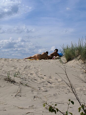 The naked beach 260-56625 - Photo 31