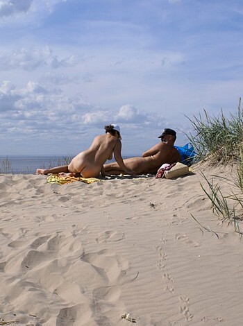 The naked beach 260-56625 - Photo 32