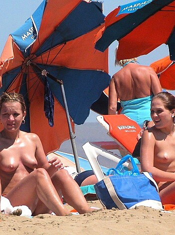 Five busty hotties, sunbathing in skimpy bikinis, their tits almost spilling out of the cups.