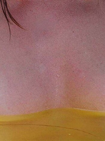 """
A pair of tits on some broad.
"""