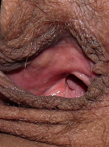 Sabrina shows her pussy - Photo 1
