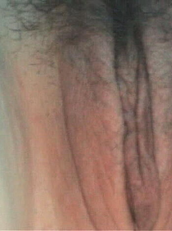 Upskript - Voyeur Upskirt - 9 (found on the web)  - Photo 19