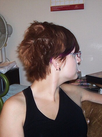 Tattooed chick at a private party  - Photo 1