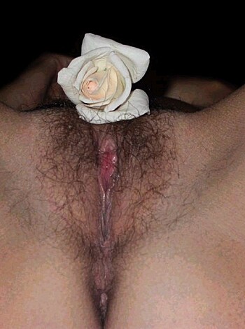 """
Untrimmed bush up close with a fucking daisy shoved in its ass crack.
"""