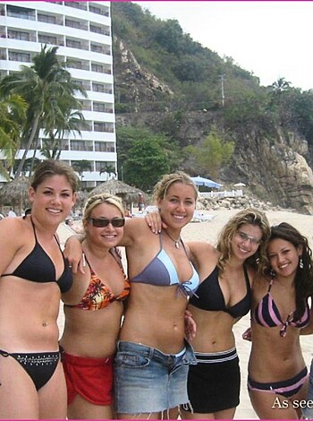 "A bunch of chicks in bikinis fuckin' around on the sandy shore, dawg."