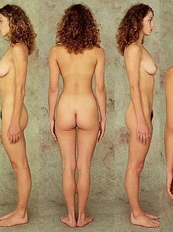 "Here's a naked photo shoot of chicks with various body types and facial expressions, all lined up like fucking cattle at a goddamn slaughterhouse."