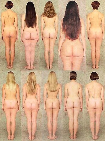 "Squishy butts galore! This picture features a variety of curvaceous cheeks just begging to be smacked."
