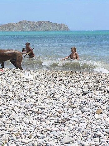 Nude beach - mix 22  - Photo 114