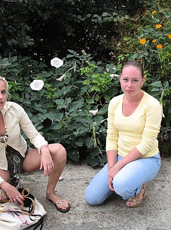 "Yellow-shirted bitches shitting near daisy ass fucking flowers."