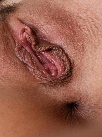 Best pictures labia, pussy and clit - Photo 6