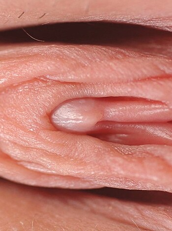 Best pictures labia, pussy and clit - Photo 40