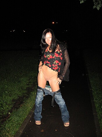 Here's the vulgar shit: A blurry pic of some chick with her tits hanging out poses in the fucking park at night, possible panties flashin'.