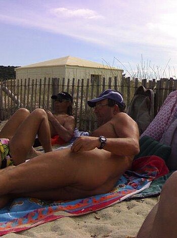 Vulgar description: A bunch of fuckin' naked dudes chillin' out on a goddamn beach, drinkin' beers and havin' a good time with their asshole buddies. Fuckin'-A right!
