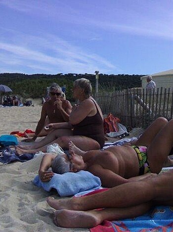"Here's some fuckin naked folks soakin up them rays on the damn sandy shore."