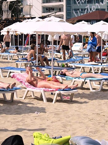 The beach 312  - Photo 48