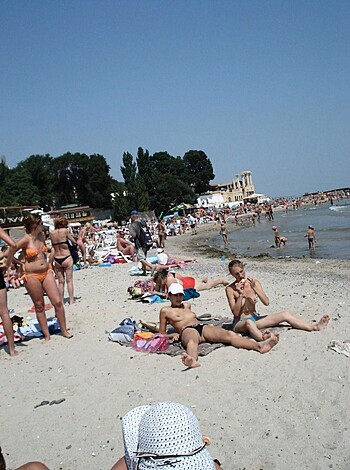 The beach 329  - Photo 9