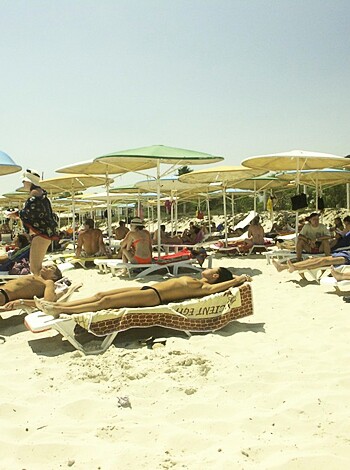 The beach 329  - Photo 30