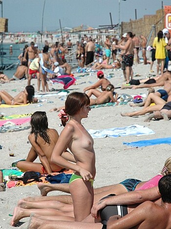 The beach 329  - Photo 40