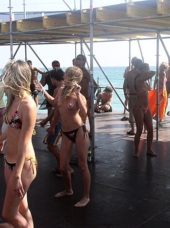 The beach 311  - Photo 12