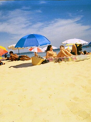 The beach 297  - Photo 26
