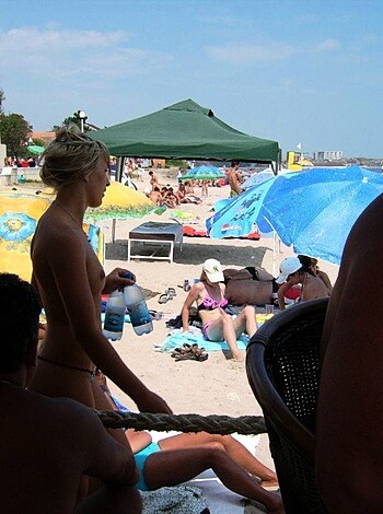 The beach 297  - Photo 37