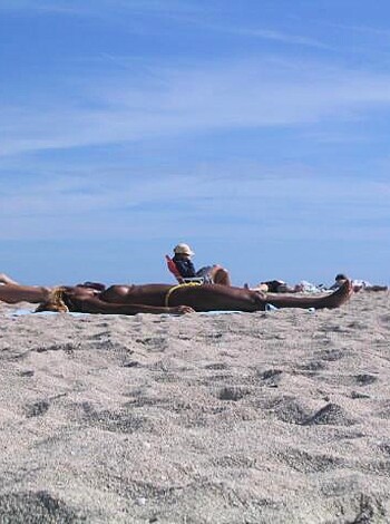 The beach 297  - Photo 45