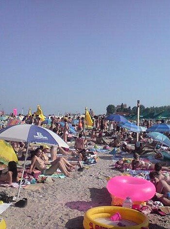 The beach 291  - Photo 4