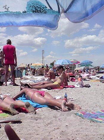 The beach 291  - Photo 6