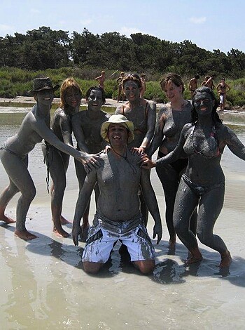 The beach 291  - Photo 14