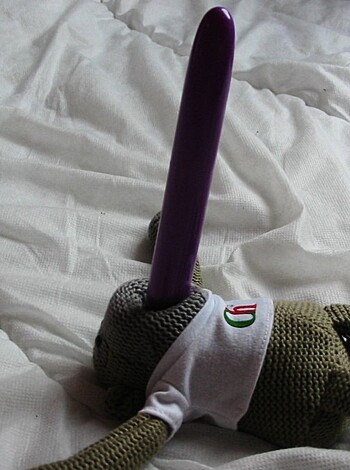 Slut girlfriend shows her toys - Photo 10