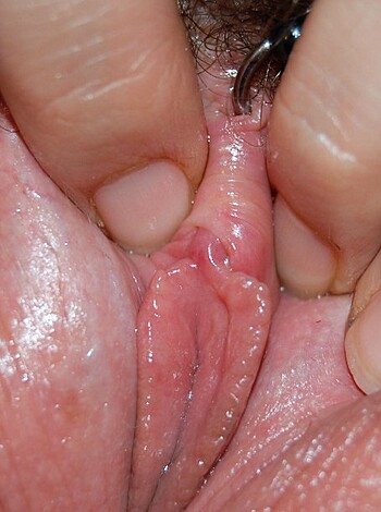 She loves her Toys - horny girlfriend - Photo 110