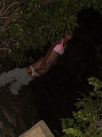 The fuckin' guy is dangling his ass off a tree limb while a chick sucks his dick in the background at nighttime.