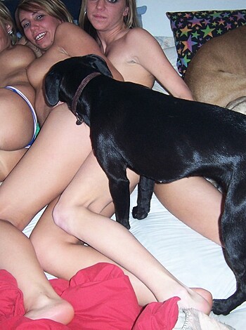 Three girls have a lesbian fun - Photo 23
