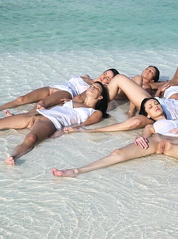 6 Girls Baby Seals - Photo 1