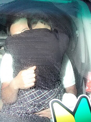 "Fucking couple humping inside a vehicle."