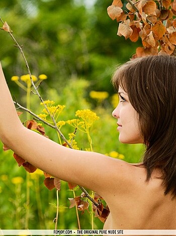 Amelie in The Most Beautiful Flower - Photo 8