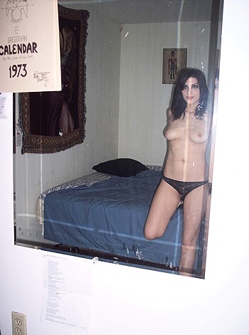 A fucking hot chick with perfect tits and ass, looking at her pussy in the goddamn mirror.