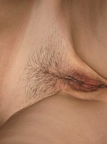 "Here's a close-up of some bald snatch with bushy lips."