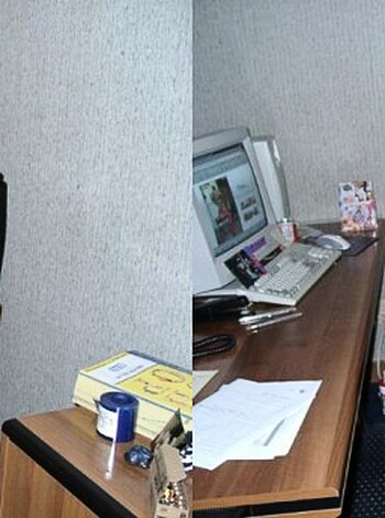 Here's a fucking photo series of some bitch taking off her clothes at a goddamn office desk.