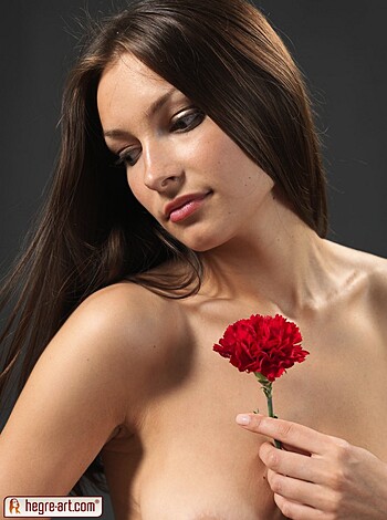 Elvira Red Carnation - Photo 1