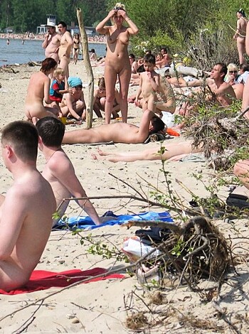 Novosibirsk beach - Photo 19