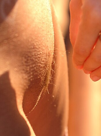 Alison Angel - Photo 10