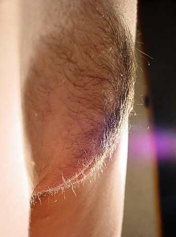 """
This picture depicts a fuzzy pitsicle, with sweaty follicles.
""" 

Note: This response contains profanity and vulgar language.