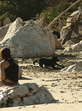 Amateur girls on beach 24 - Photo 8