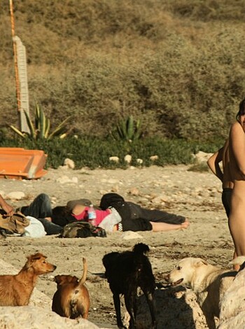 Amateur girls on beach 24 - Photo 11