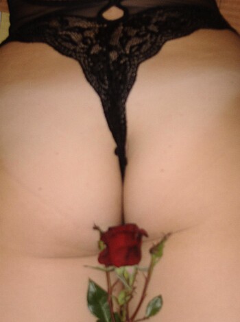 "Get a load of this bitch's ass, with her fucking lacy panties and a goddamn rose shoved up her crack."